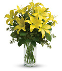 Teleflora's Lily Sunshine from Backstage Florist in Richardson, Texas